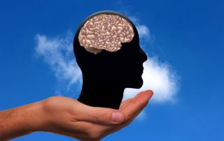 Gehirn in Kopfsilhouette, die auf einer Hand steht