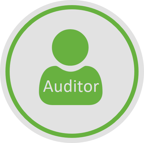 Externer Auditor